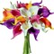 13.5in Colorful Calla Lily Artificial Flowers 20 Stems(Colorful)